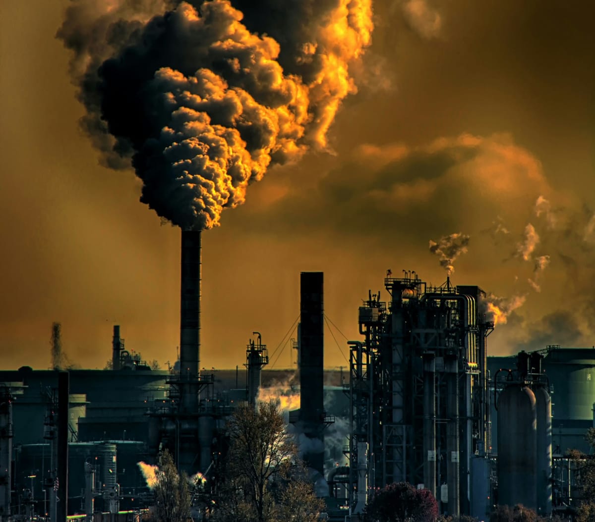 Bolagsansvar i klimatfrågor – senaste rättsfallen som förändrar spelplanen